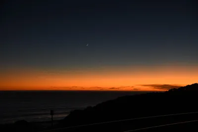 DSC_2567 (Large).JPG